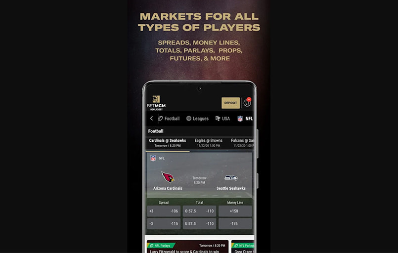 The BetMGM sports markets interface.